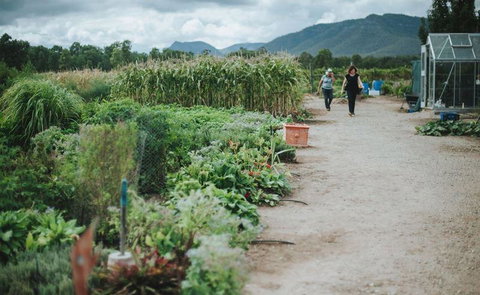 Delicado Foods & Wines - Great Ocean Road Restaurant 6