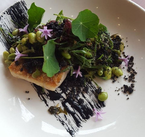 Ocean View Estates Winery And Restaurant - Great Ocean Road Restaurant 12