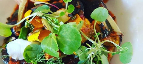 Ocean View Estates Winery And Restaurant - Great Ocean Road Restaurant 1