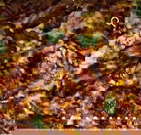 Pizza D'oh - Great Ocean Road Restaurant