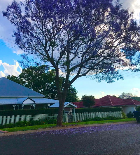 The Spotted Cow - Great Ocean Road Restaurant 1