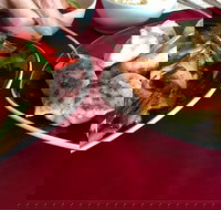 GalanGal - Great Ocean Road Restaurant