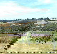 Main Ridge Harvest - Great Ocean Road Restaurant