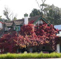 Fetching Treasures - Great Ocean Road Restaurant