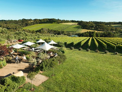 Montalto Restaurant - Great Ocean Road Restaurant 0