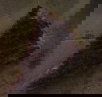 Pizza Paradise - Great Ocean Road Restaurant