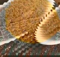 Johnny Fongs - Great Ocean Road Restaurant