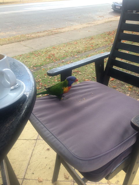 Julie's At The Rectory - Great Ocean Road Restaurant 4