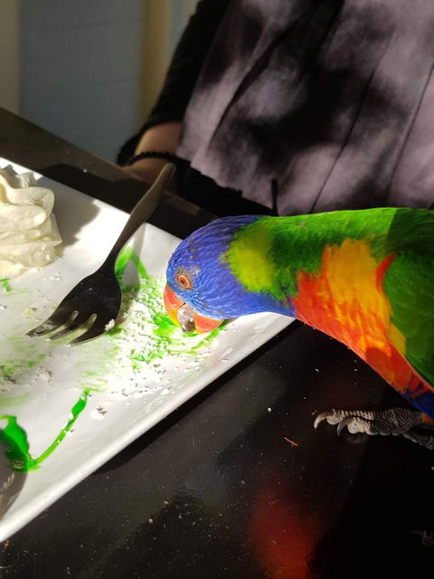 Julie's At The Rectory - Great Ocean Road Restaurant 6