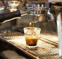 Black Bear Cafe - Great Ocean Road Restaurant