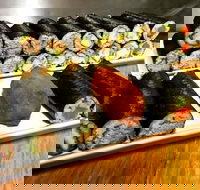 Freewave Sushi  Burgers - Great Ocean Road Restaurant