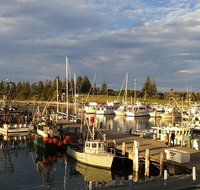 Horse  Camel - Great Ocean Road Restaurant