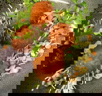 Ollie Masons Cafe - Great Ocean Road Restaurant