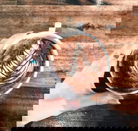 The Anchor Coffee House - Great Ocean Road Restaurant