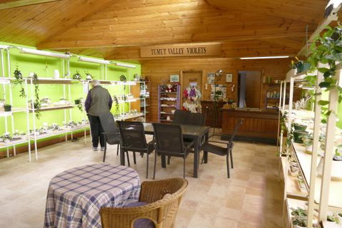 Tumut Valley Violets - Great Ocean Road Restaurant 0