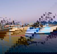 Clarence River Fishermen's Co-Operative - Great Ocean Road Restaurant