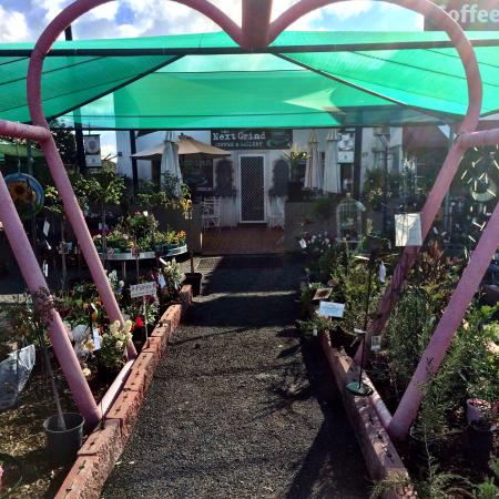 Gilgandra NSW Great Ocean Road Restaurant