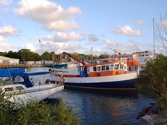 Woody Head NSW Great Ocean Road Restaurant