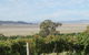 Lerida Estate - thumb 0