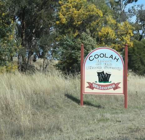 Bistro On Binnia - Great Ocean Road Restaurant 0