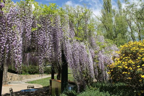Gods Cafe & Bar - Great Ocean Road Restaurant 0