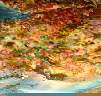 Al Pesto - Great Ocean Road Restaurant