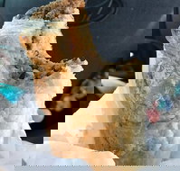 Foster's Bakery - Great Ocean Road Restaurant