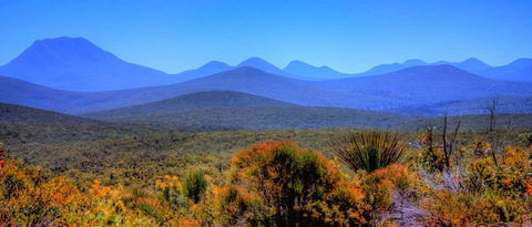 Arcadia Wines - Great Ocean Road Restaurant 0