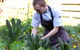 Chiswick Restaurant Woollahra - thumb 0