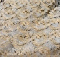 Fairfield Bakery - Great Ocean Road Restaurant