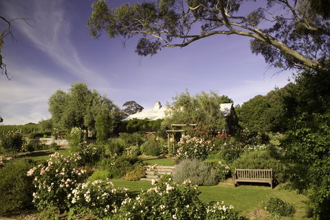 Skillogalee Winery & Restaurant - Great Ocean Road Restaurant 0