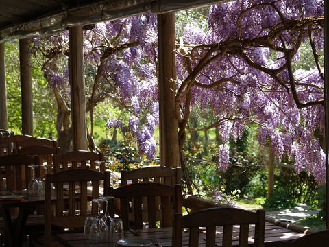 Skillogalee Winery & Restaurant - Great Ocean Road Restaurant 2