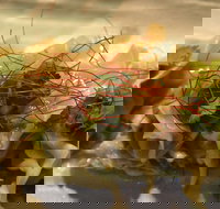 Tarana Indian Restaurant - Great Ocean Road Restaurant