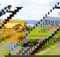 Tranquil Vale Vineyard - Great Ocean Road Restaurant