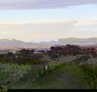 Castle Rock Estate Winery - Great Ocean Road Restaurant