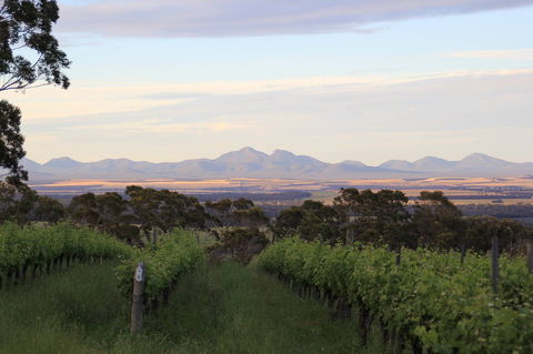 Castle Rock Estate Winery - Great Ocean Road Restaurant 0