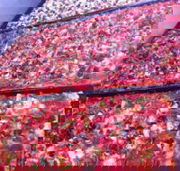 Pizza and Kebab on Bell - Great Ocean Road Restaurant