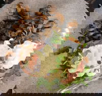 Rogue Valley Roasters - Great Ocean Road Restaurant