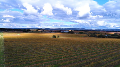 Schubert Estate - Great Ocean Road Restaurant 0