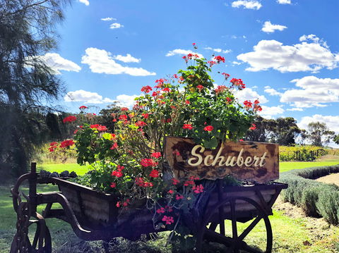 Schubert Estate - Great Ocean Road Restaurant 2