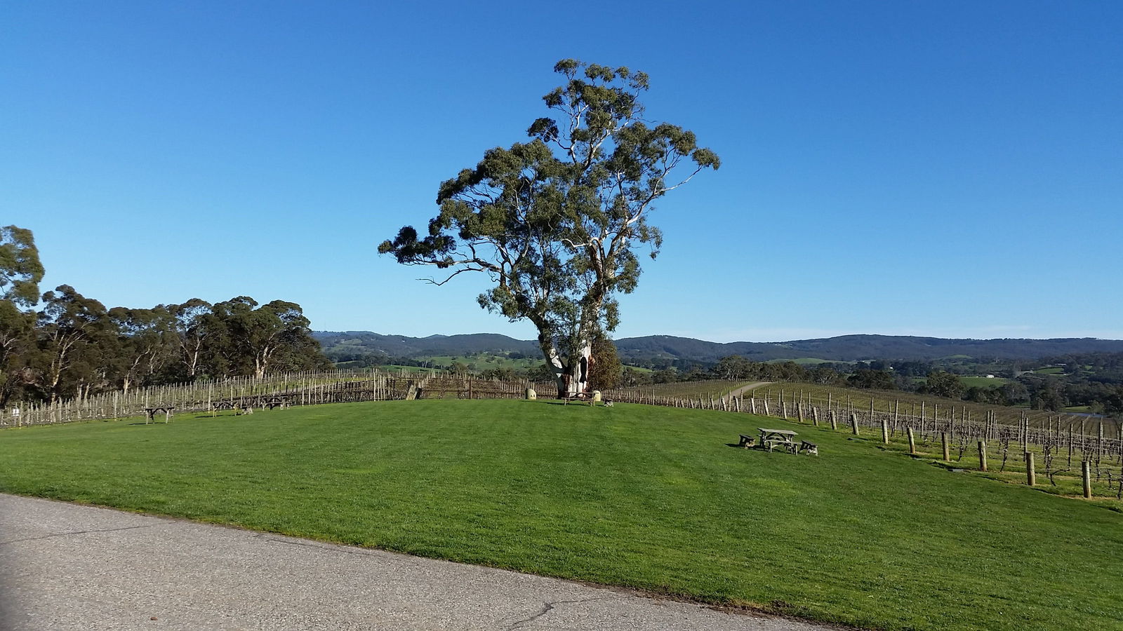 Great Ocean Road Restaurant