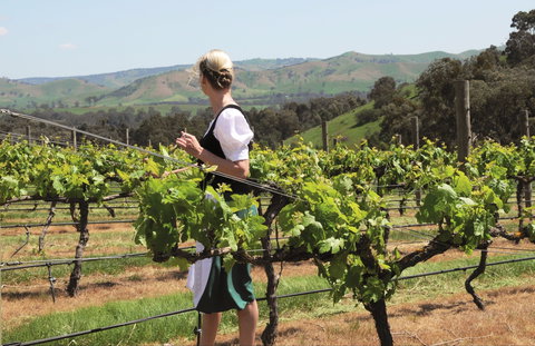 Sedona Estate - Great Ocean Road Restaurant 1