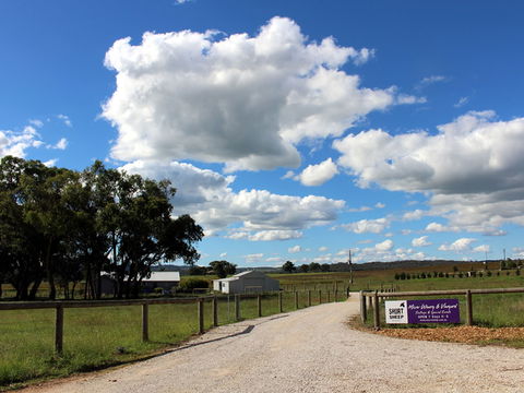 Short Sheep Micro-Winery - Great Ocean Road Restaurant 0
