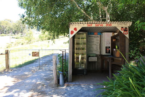 Springwood Farm Berries - Great Ocean Road Restaurant 1