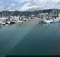 Whitsunday Sailing Club - Great Ocean Road Restaurant