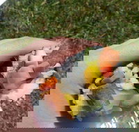 Yuri Sushi - Great Ocean Road Restaurant