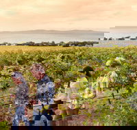 Boston Bay Wines - Great Ocean Road Restaurant