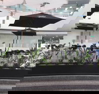 D Cafe - Great Ocean Road Restaurant