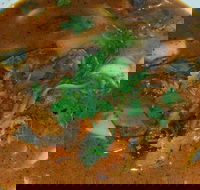 Four Figs - Great Ocean Road Restaurant