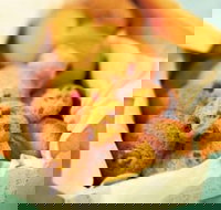 Mrs. Fields - Cockburn Gateway - Success - Great Ocean Road Restaurant